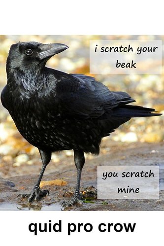 quid pro crow.jpg