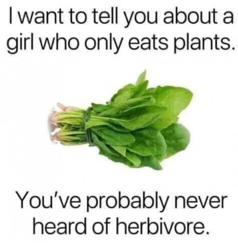 Herbivore.jpg