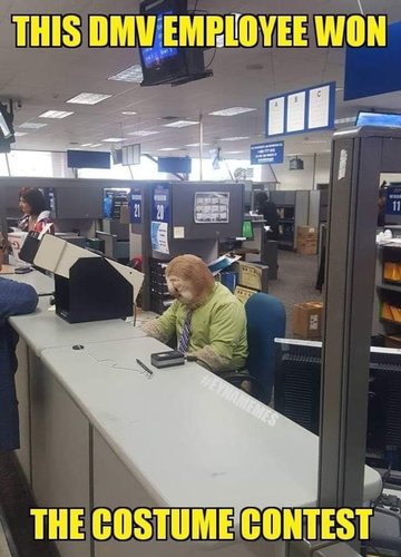 dmv.jpg