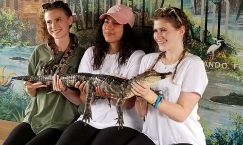 Gatorland 2.jpg