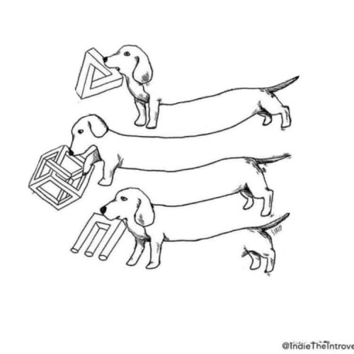 Escher's dogs.jpg