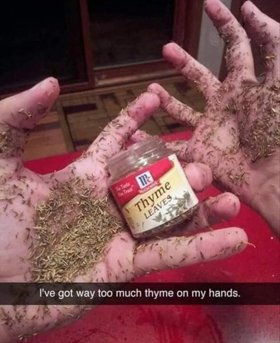 Too much thyme.jpg