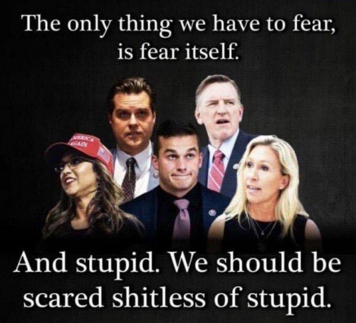 Fear itself and stupid.jpg