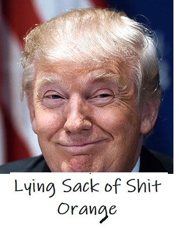 Trump orange.jpg
