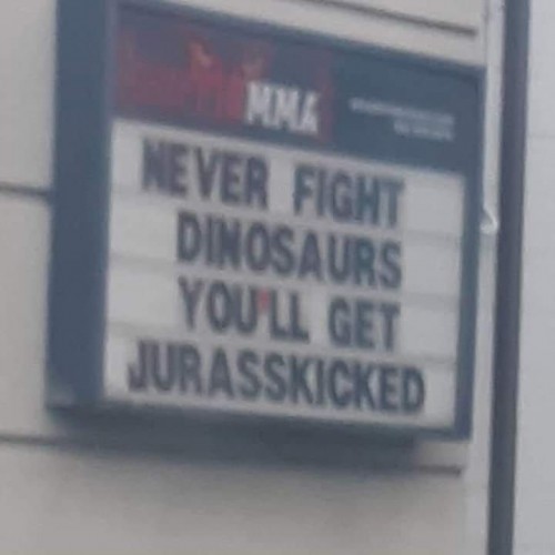 Never fight dinosaurs.jpg