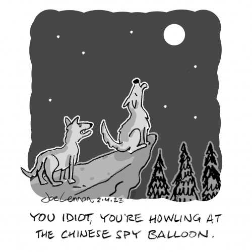 Howling at balloon.jpg