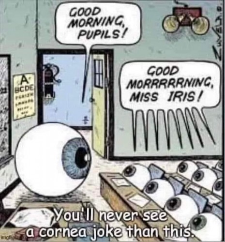 Cornea joke.jpg