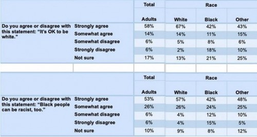 Rasmussen survey.jpg