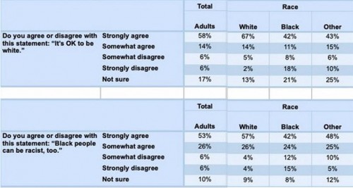 Rasmussen survey.jpg