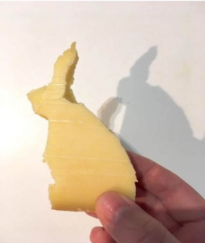 rabbit.jpg