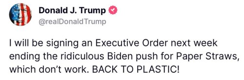 TrumpPaperStraws.jpg