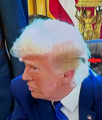TrumpHeadThing.JPG