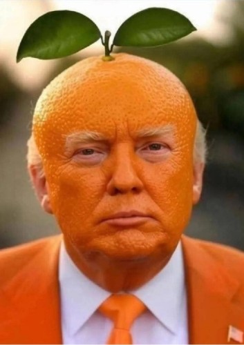 TrumpOrange.jpg