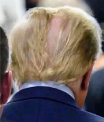 TrumpHairPartMiddle.jpg
