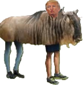 fake gnus.jpg