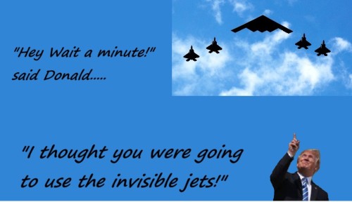 TrumpStealth.jpg