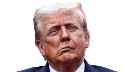 Droopy Face Donald.jpg