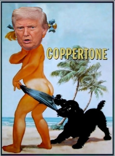 Trump Coppertone.jpg