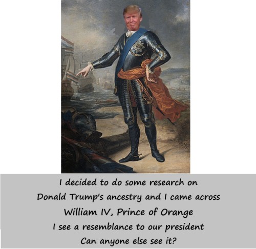 Donald of Orange.jpg