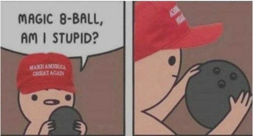maga 8 ball.jpg