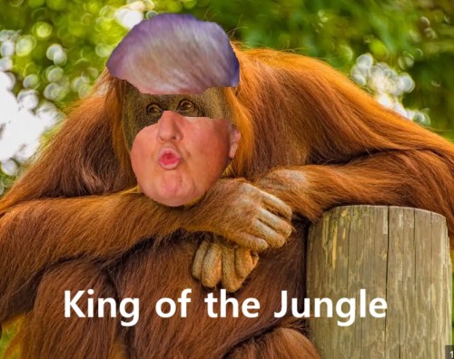 Trump Ape.jpg