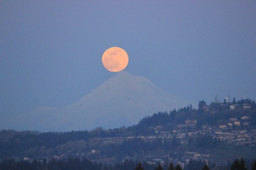 Hood and full moon.jpg