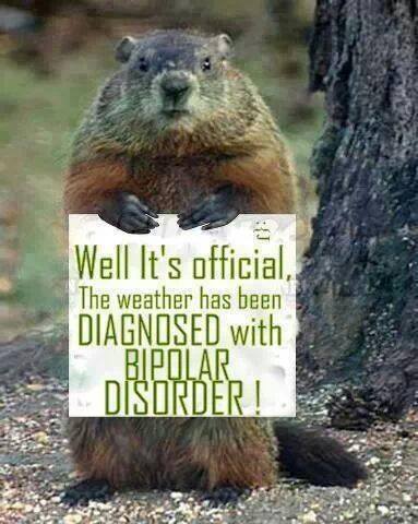 bipolar.jpg