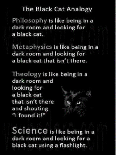 black cat smaller.gif