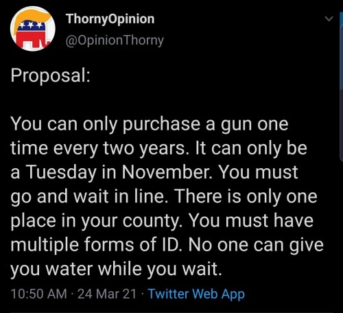 Guns and voting.jpg