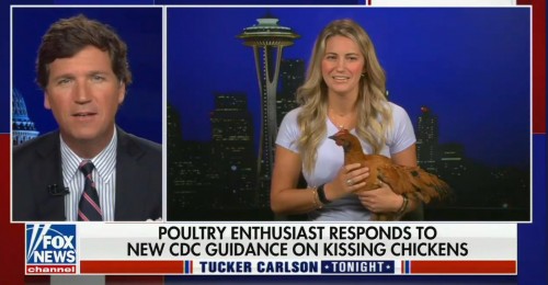 Kissing chickens.jpg