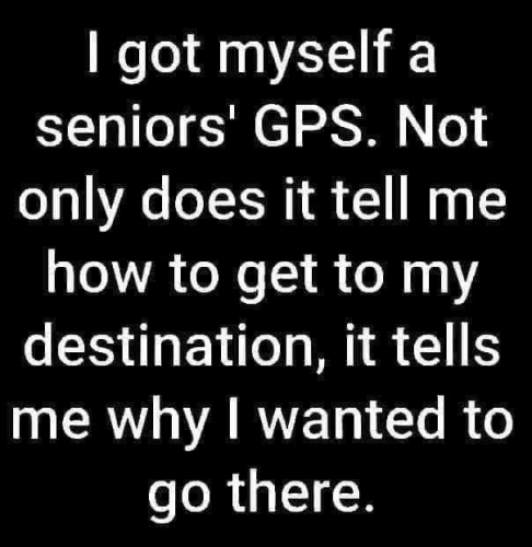 Seniors' GPS.png