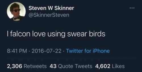 swear birds.jpg