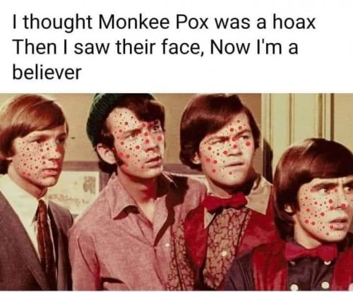 Monkee pox.jpg